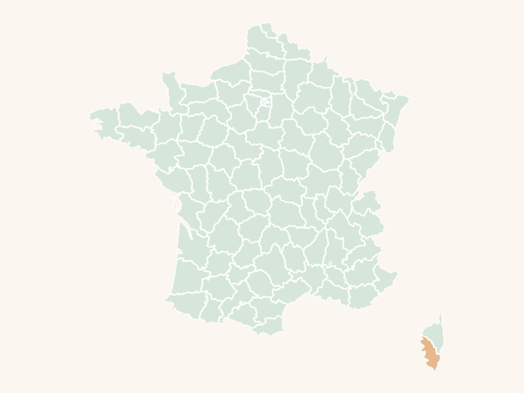 Carte urbex de la Corse-du-Sud : le département en orange sur la carte de France