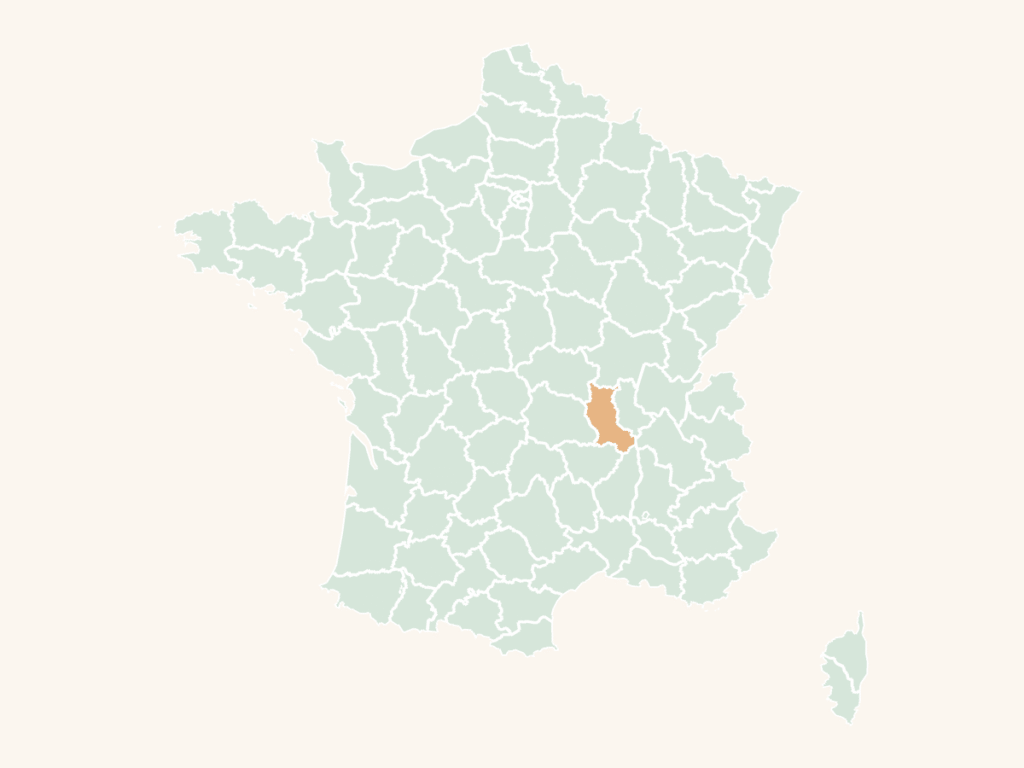 Carte urbex de la Loire : le département en orange sur la carte de France